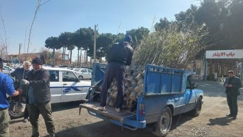توزیع ۶۰ هزار نهال در شهرقدس به مناسبت روز درختكاری