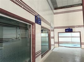 بازگشایی استخر صدف امیریه پس از نوسازی و ارتقای تجهیزات